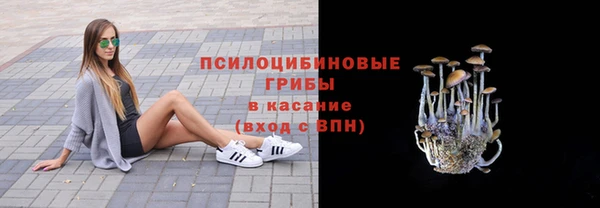 ПСИЛОЦИБИНОВЫЕ ГРИБЫ Абинск
