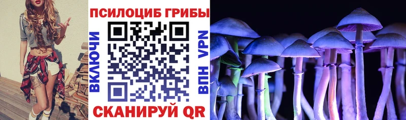 kraken ONION  Ахтырский  Галлюциногенные грибы Magic Shrooms 